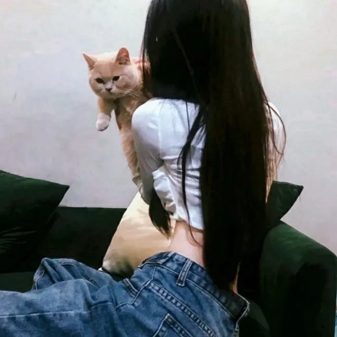维瓦